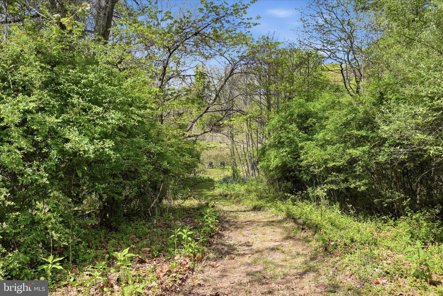 4001 Calmes Neck Lane photo 22