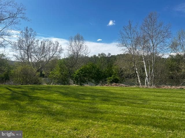 4001 Calmes Neck Lane photo 94