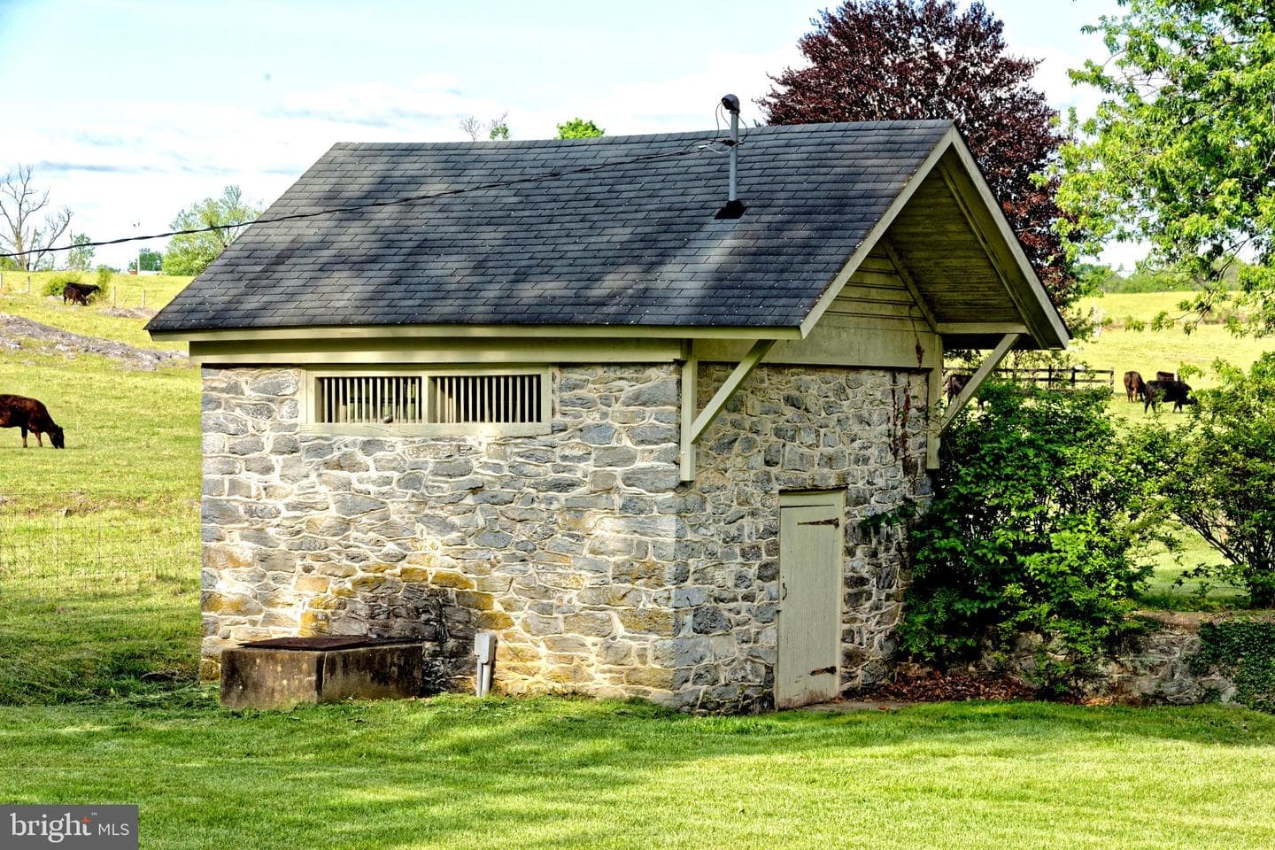 294 Milton Valley Lane photo 39