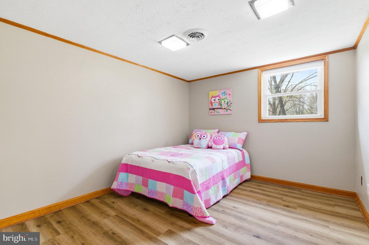 1527 Shenandoah River Lane photo 18