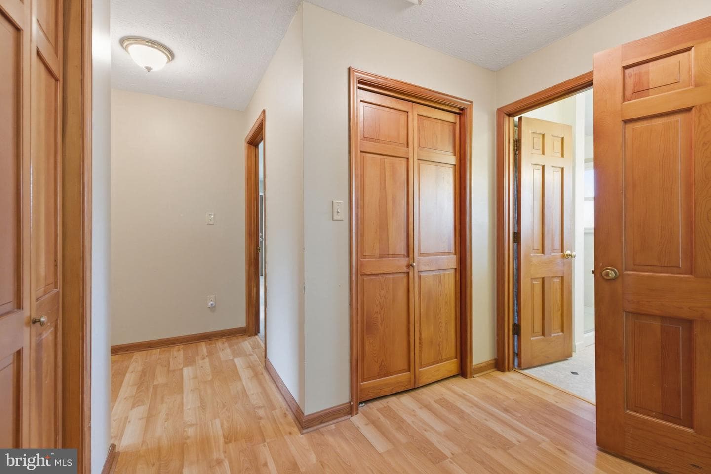 1527 Shenandoah River Lane photo 39