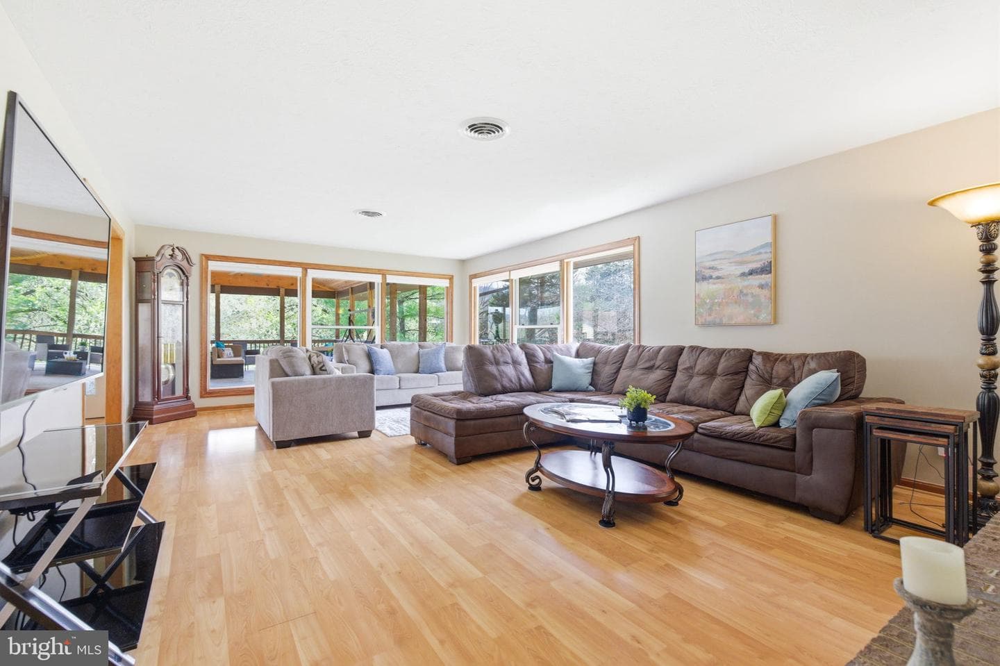 1527 Shenandoah River Lane photo 50