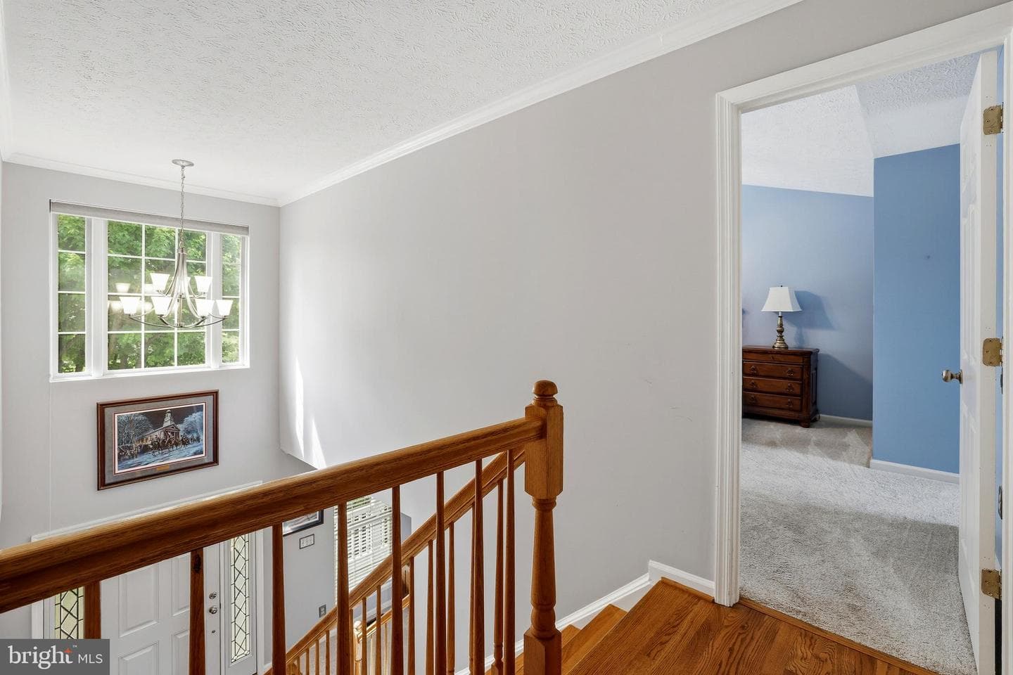 328 Jackson Drive photo 28