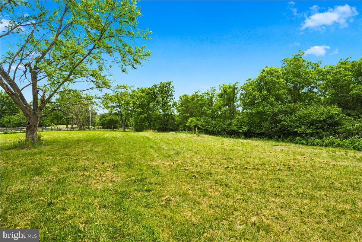 193 Marsh Lane photo 74