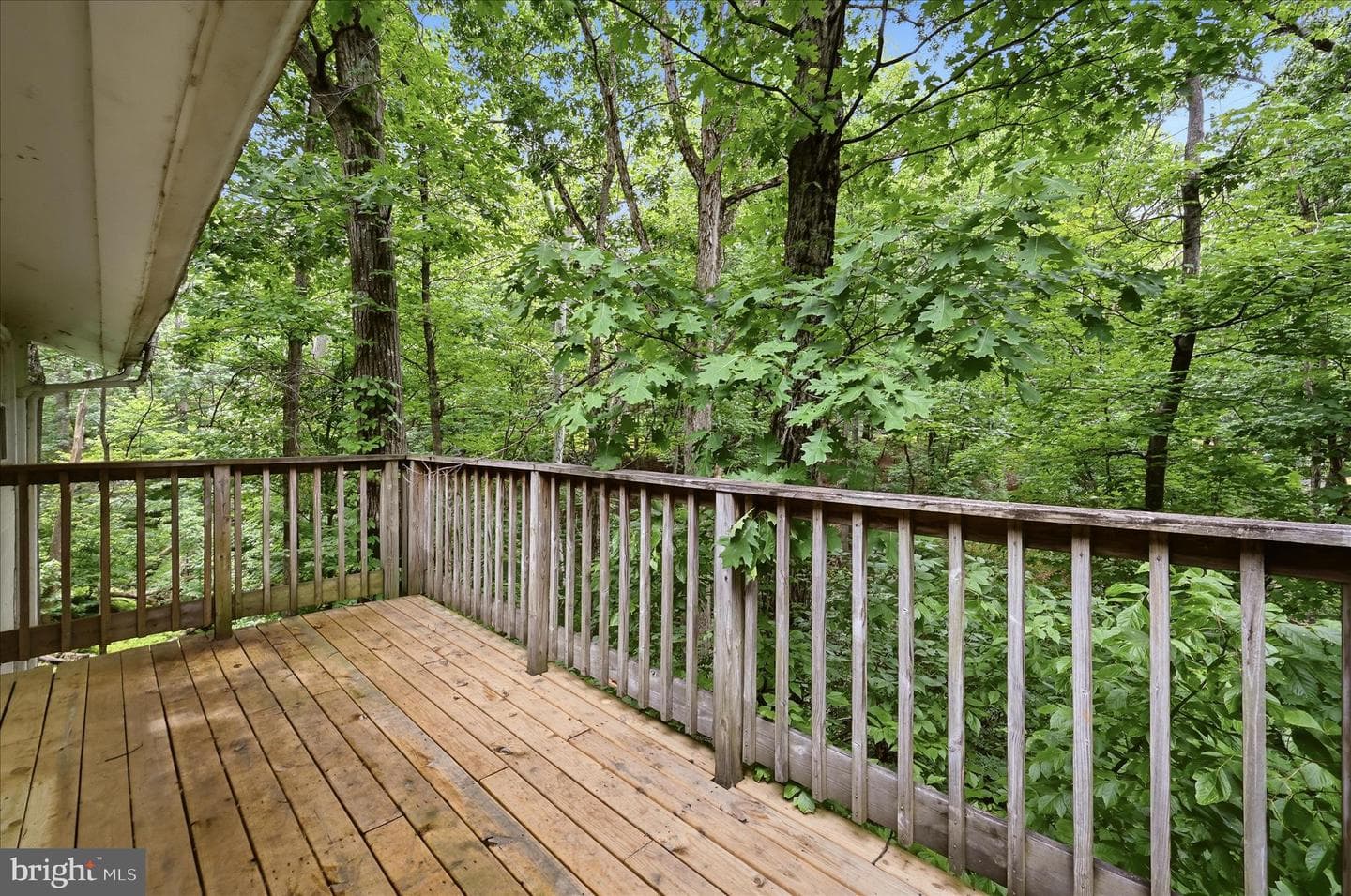 692 Laurel Lane photo 41