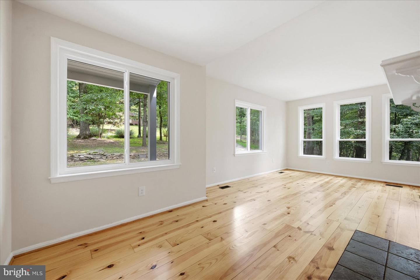 509 Cedar Lane photo 14