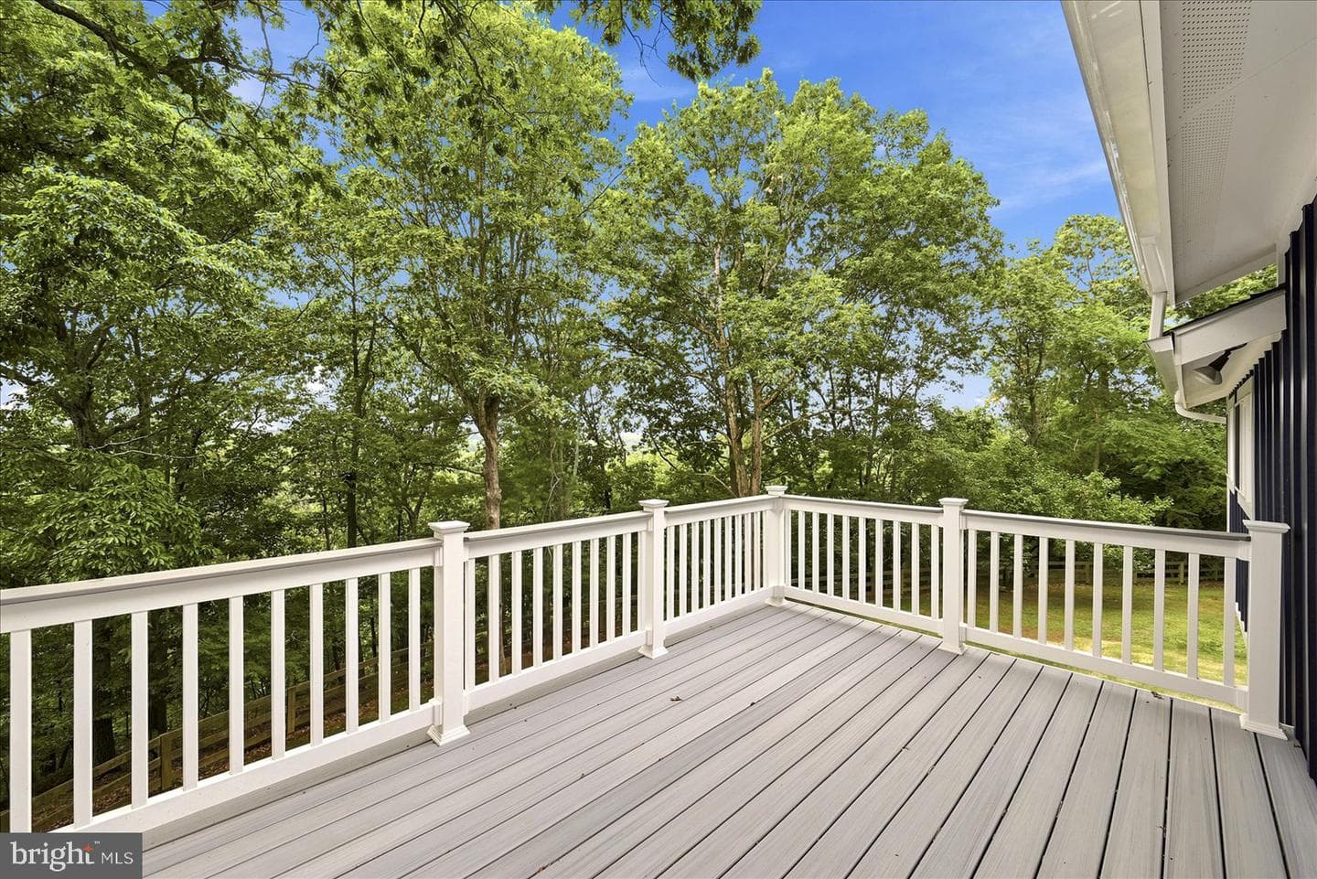 509 Cedar Lane photo 39