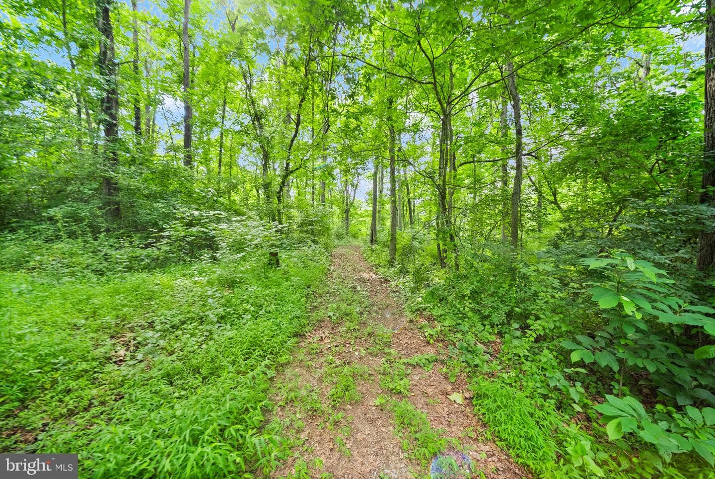 4020 Millwood Road photo 100