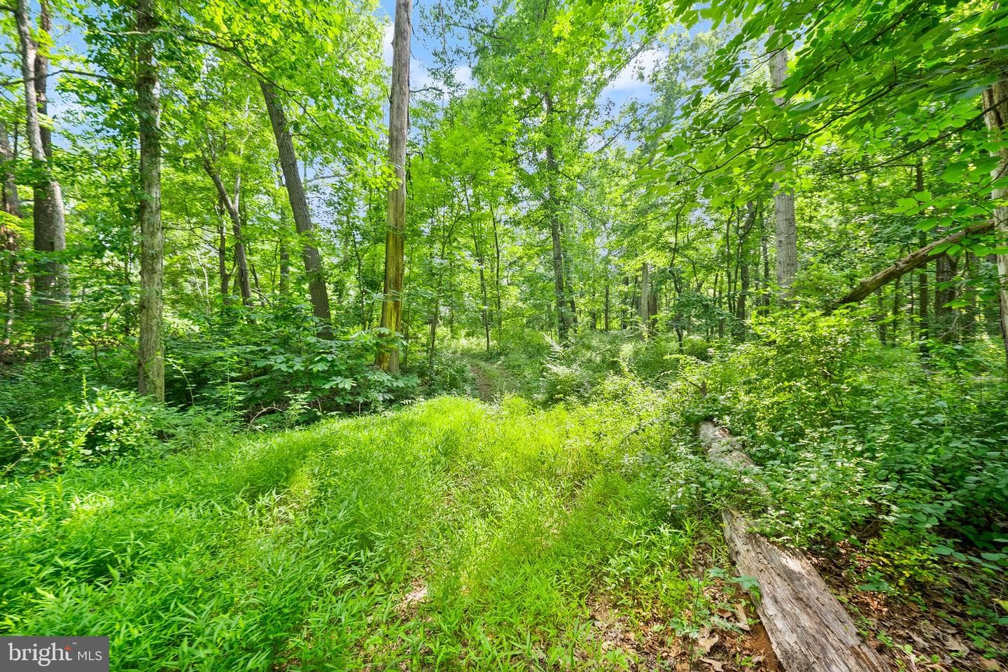 4020 Millwood Road photo 99