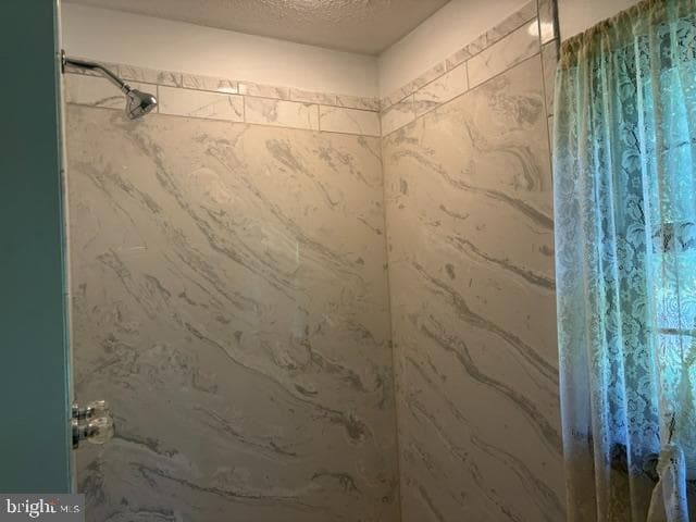 10393 Harry Byrd Highway photo 74