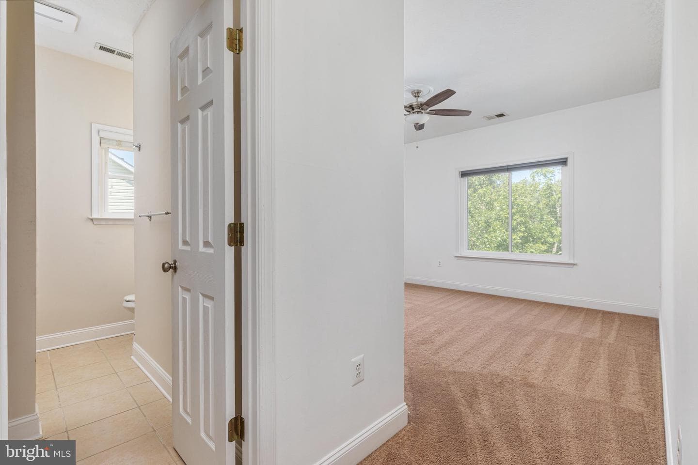 116 Hermitage Boulevard photo 31