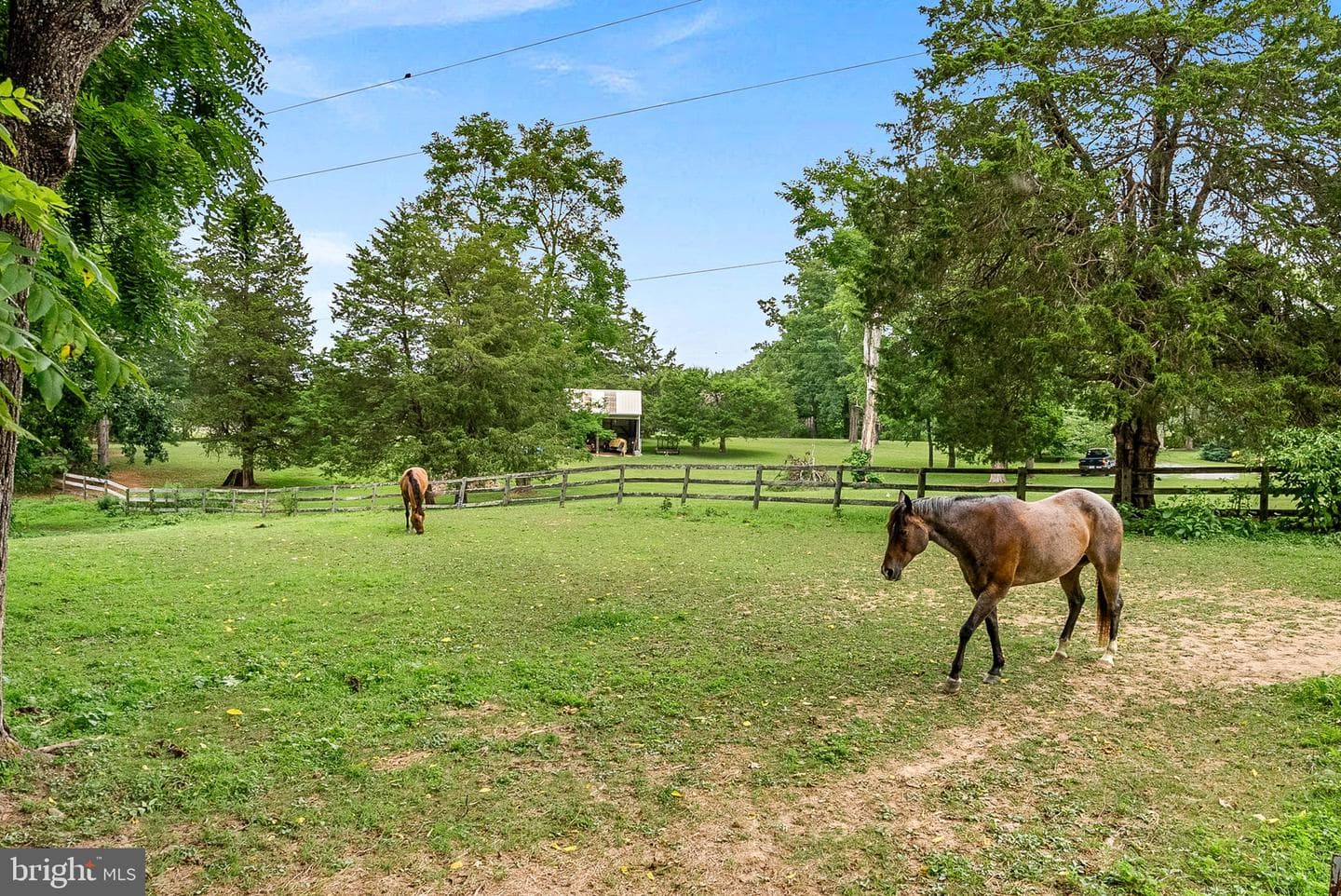 1263 Frogtown Road photo 56