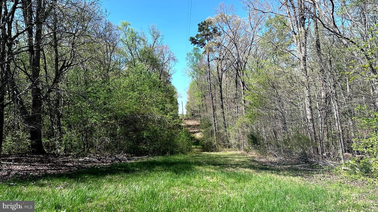 148 Robin Road photo 40