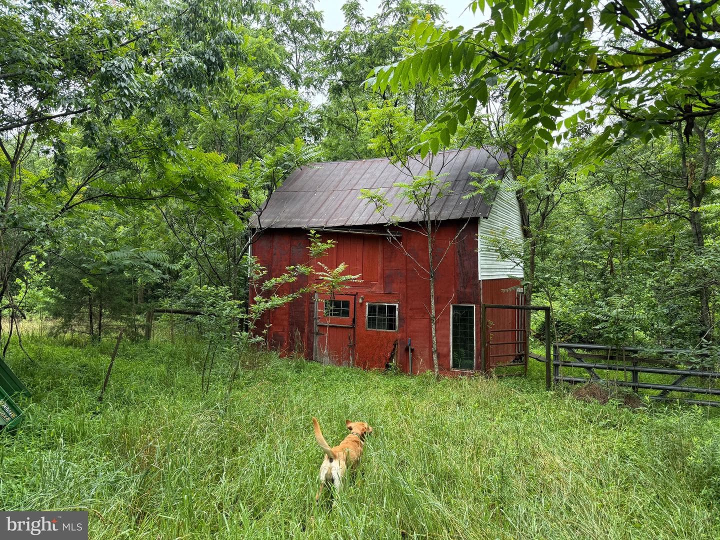 884 Red Oak School Rd photo 45