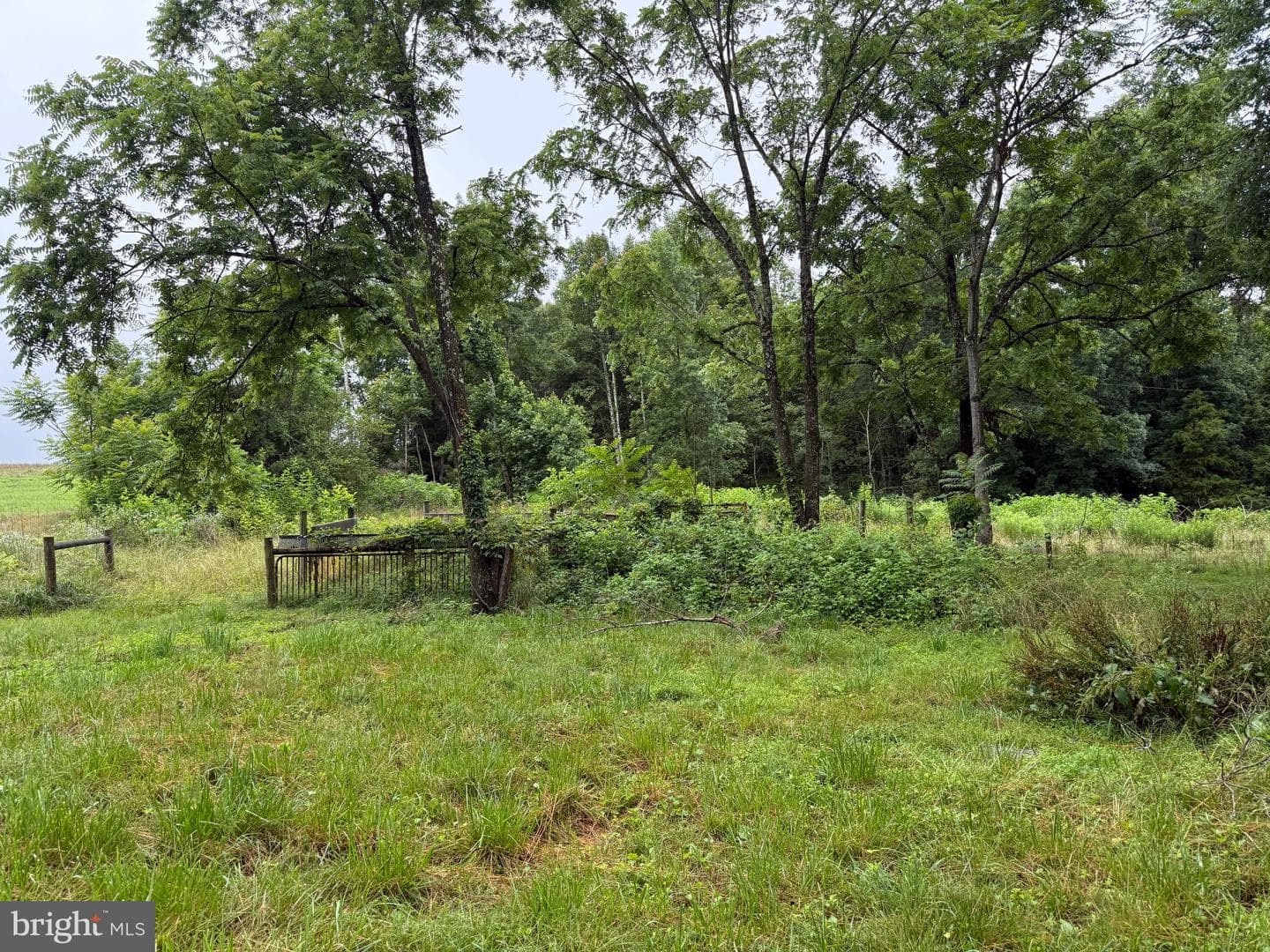 884 Red Oak School Rd photo 49