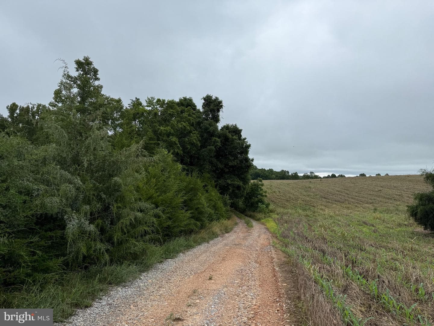 884 Red Oak School Rd photo 55