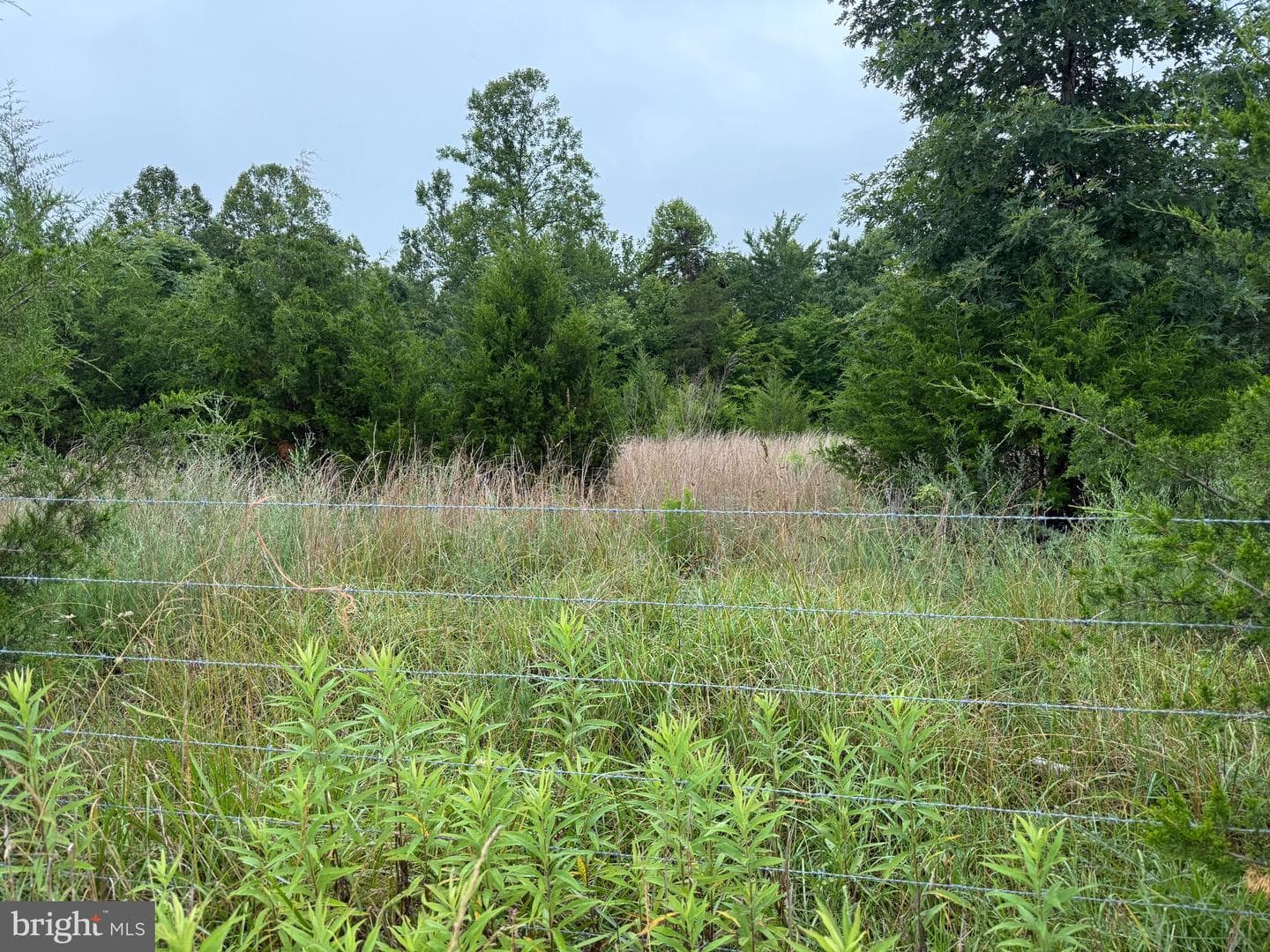 884 Red Oak School Rd photo 56