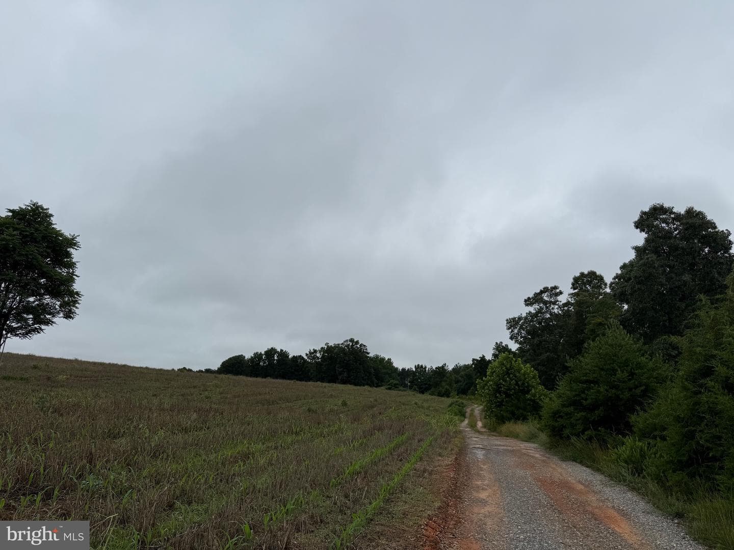 884 Red Oak School Rd photo 57