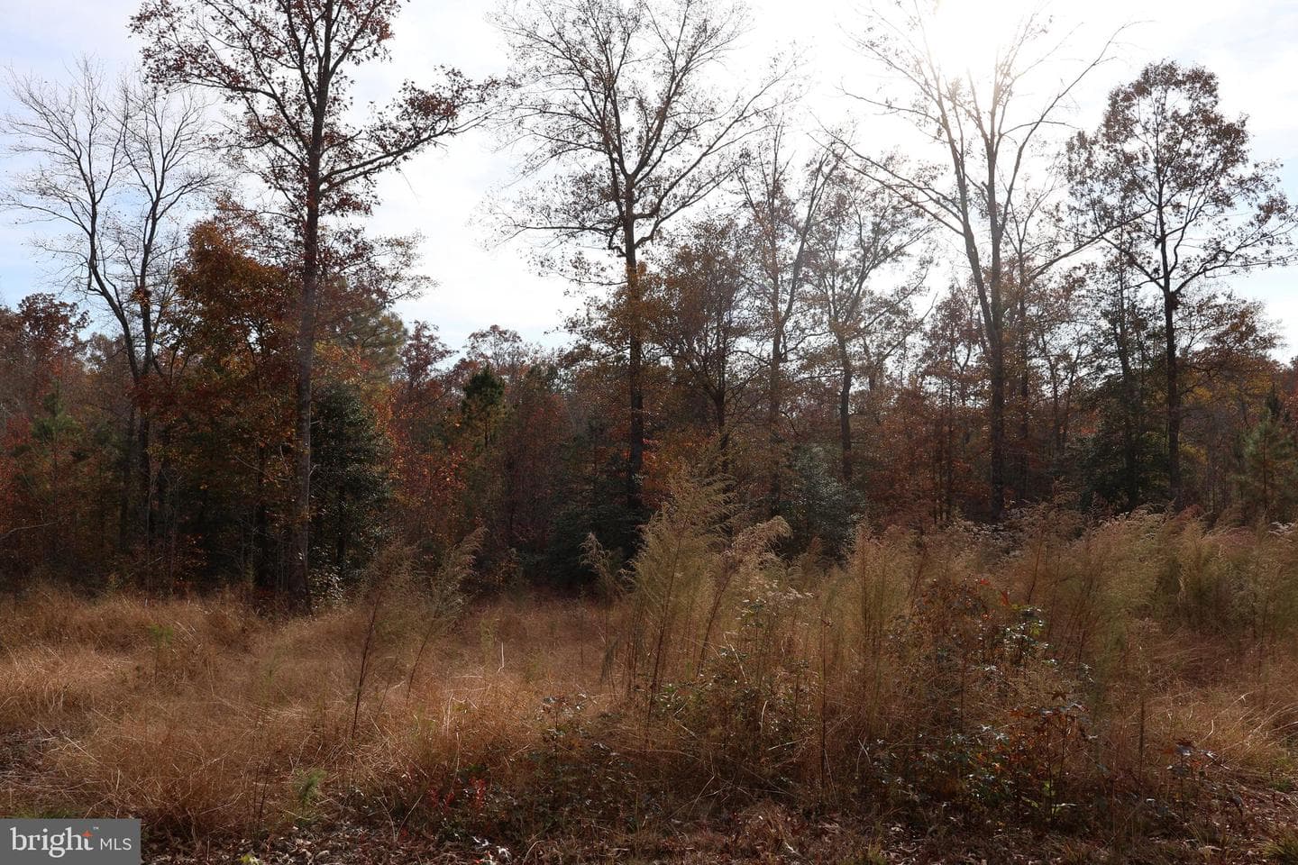 2931 Little Buck Trail photo 22