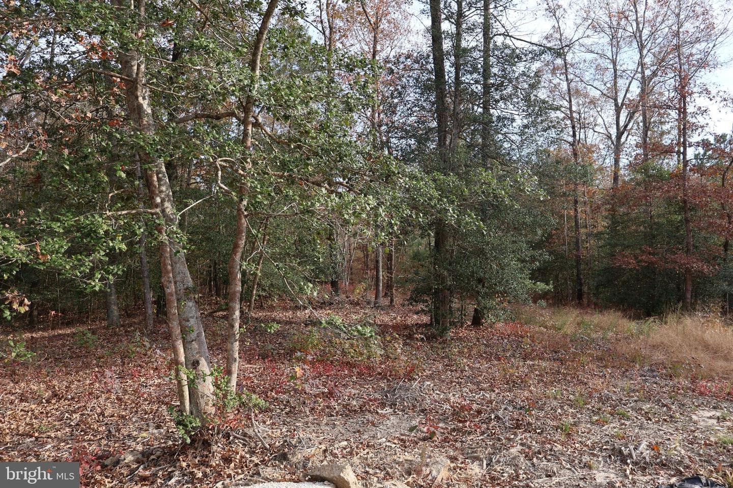 2931 Little Buck Trail photo 23