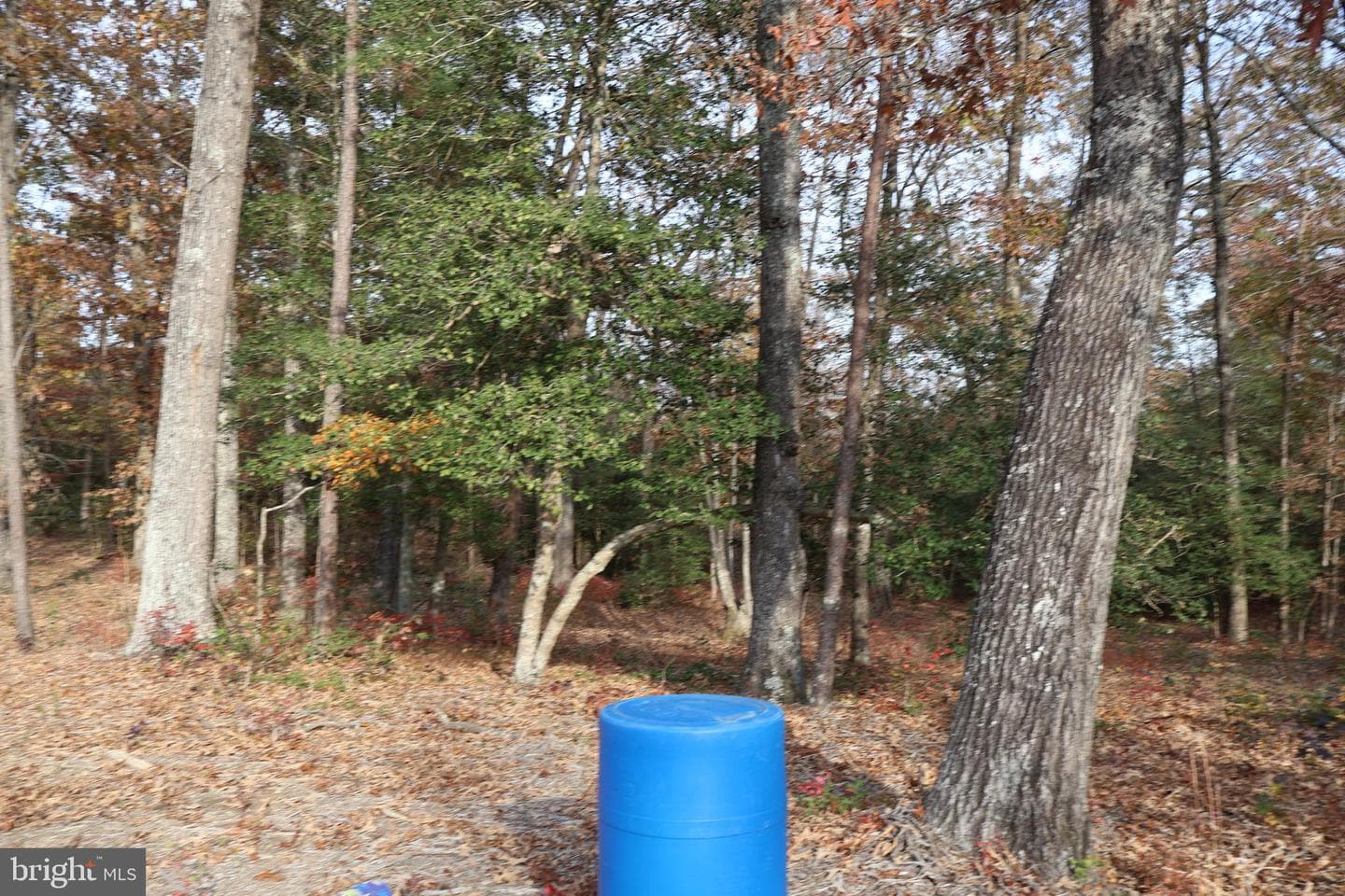 2931 Little Buck Trail photo 24