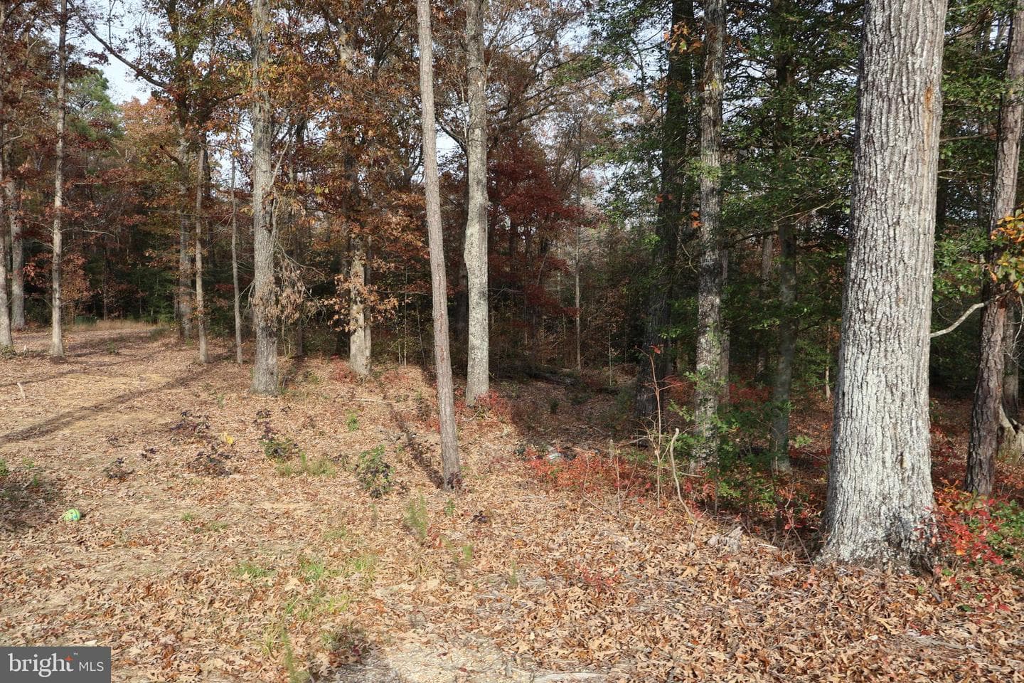 2931 Little Buck Trail photo 27
