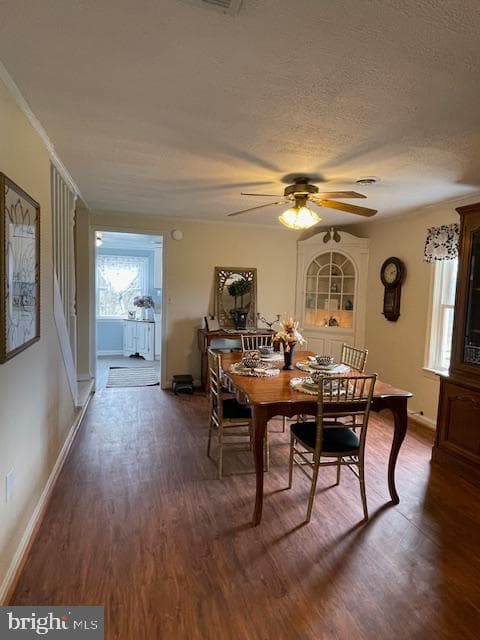 5081 Holly Springs Road photo 17