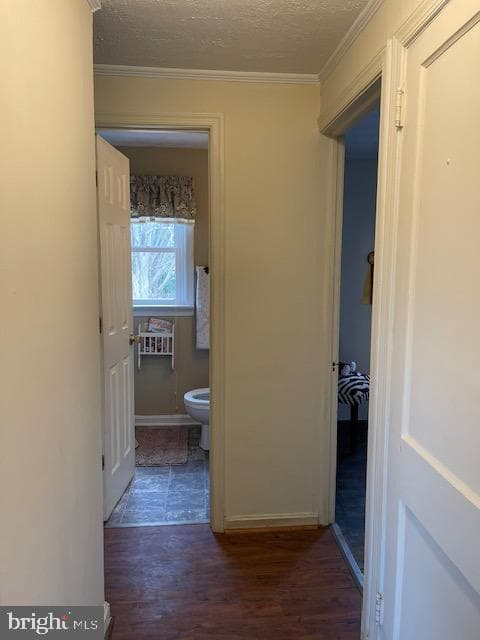 5081 Holly Springs Road photo 28