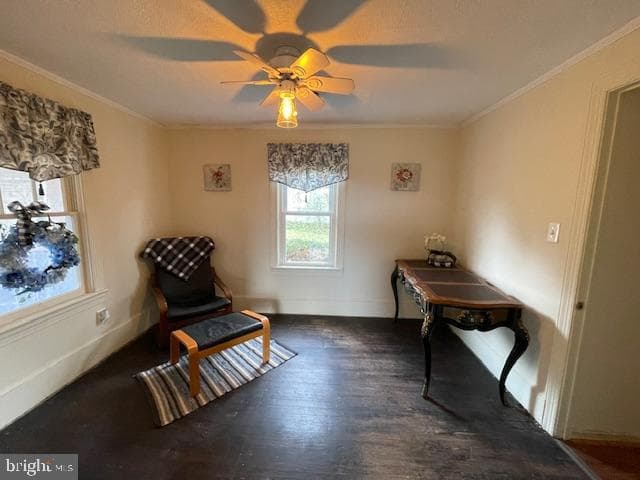 5081 Holly Springs Road photo 42