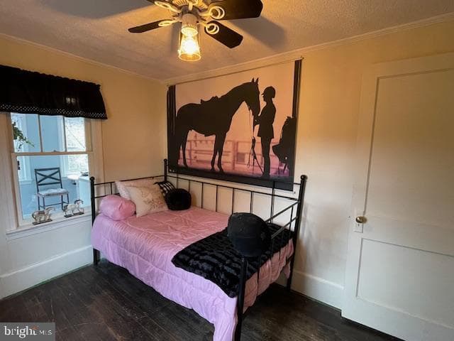 5081 Holly Springs Road photo 46