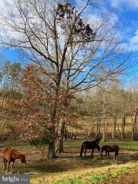 1022 Shetley Road photo 56