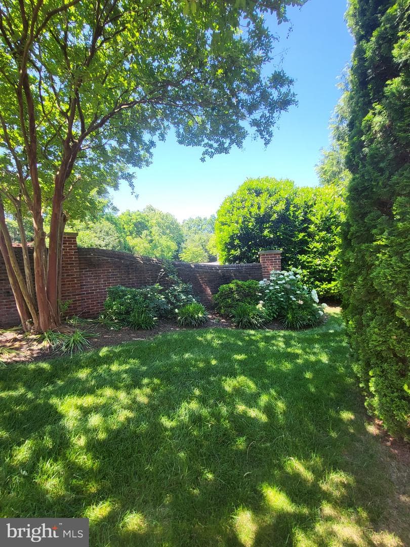 800 Mulberry Lane photo 6