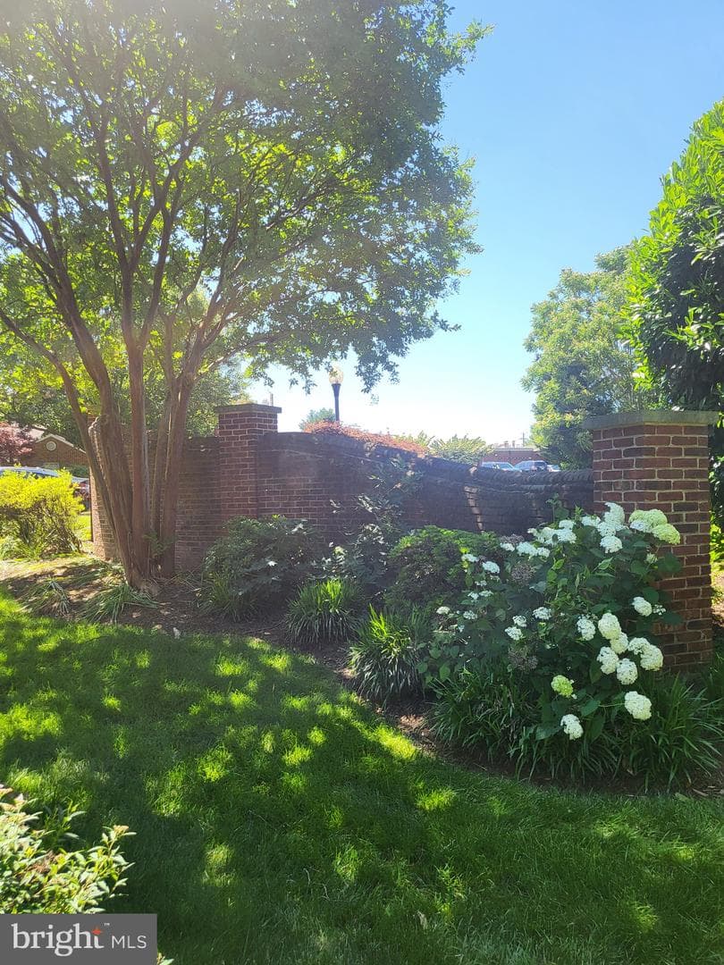 800 Mulberry Lane photo 7