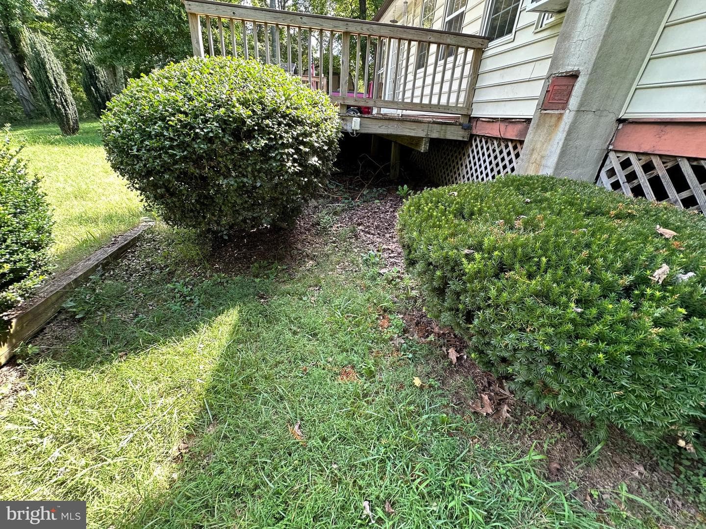 12171 Rixeyville Road photo 7
