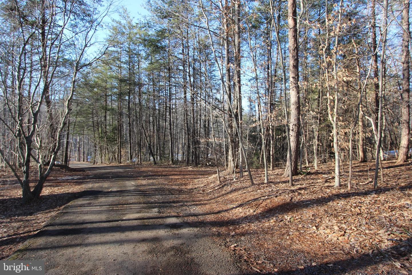 17432 Saddle Run photo 32