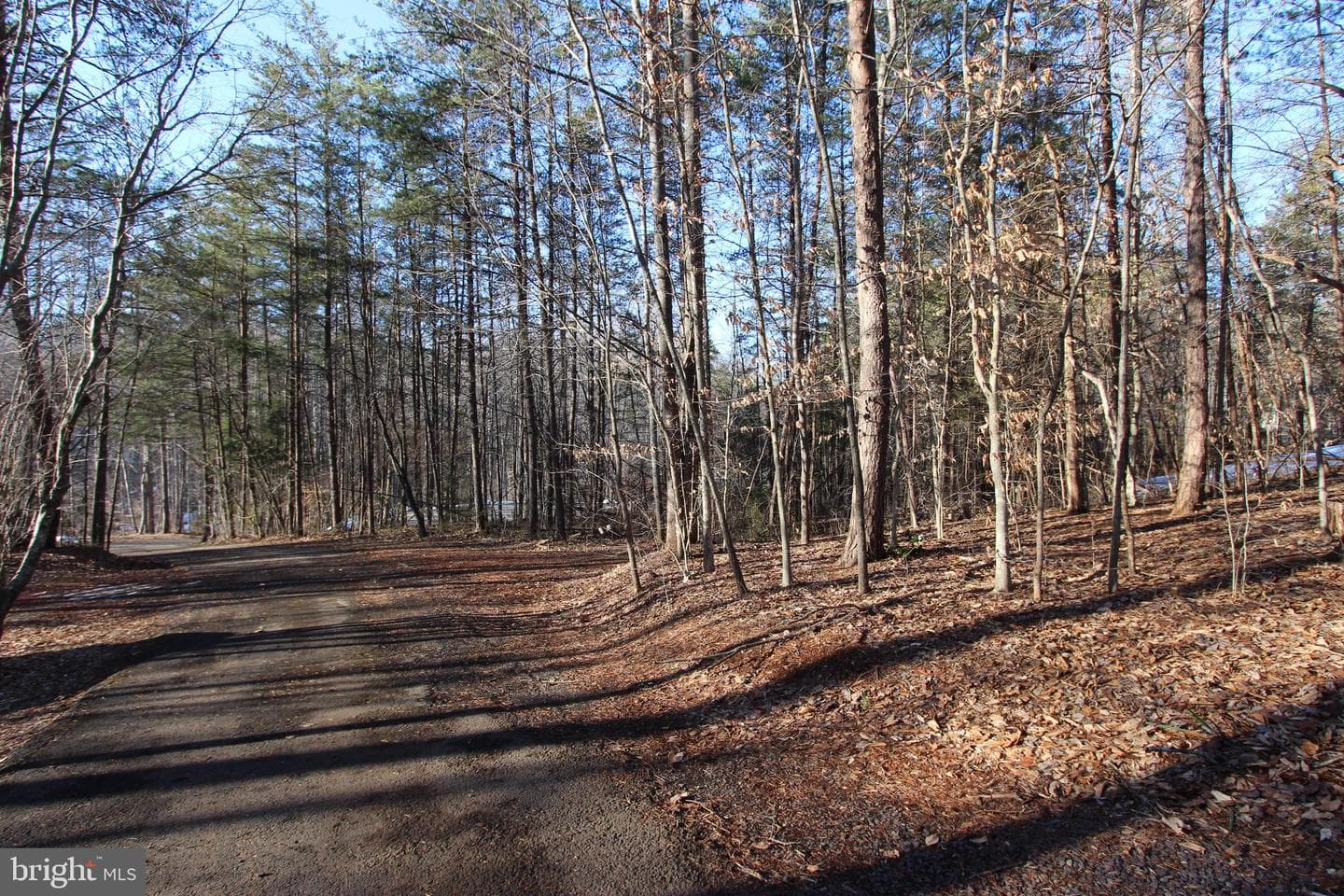 17432 Saddle Run photo 33