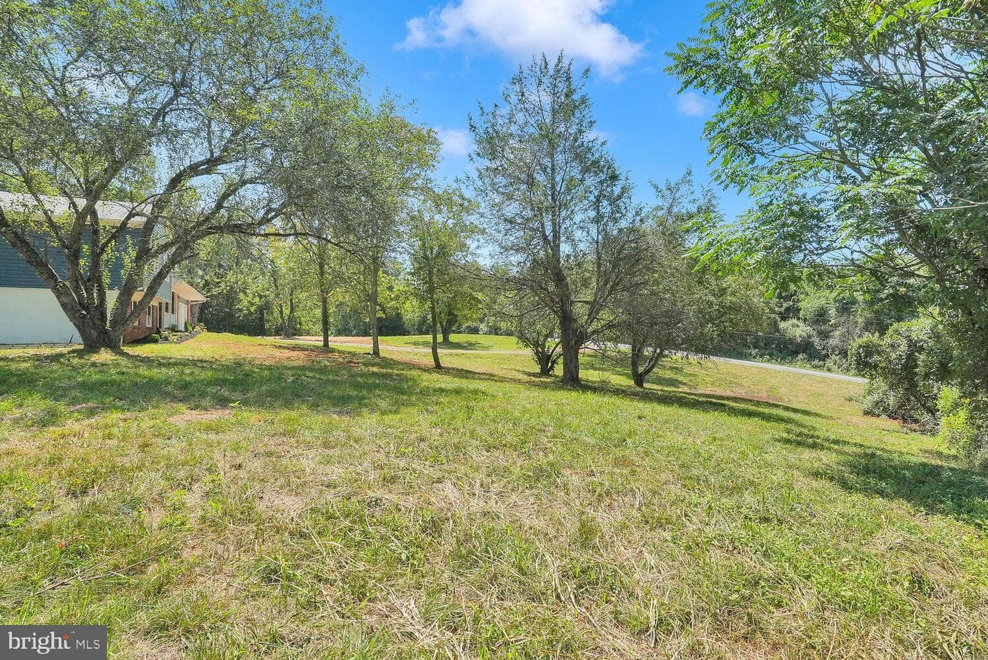 17263 Deerfield photo 7