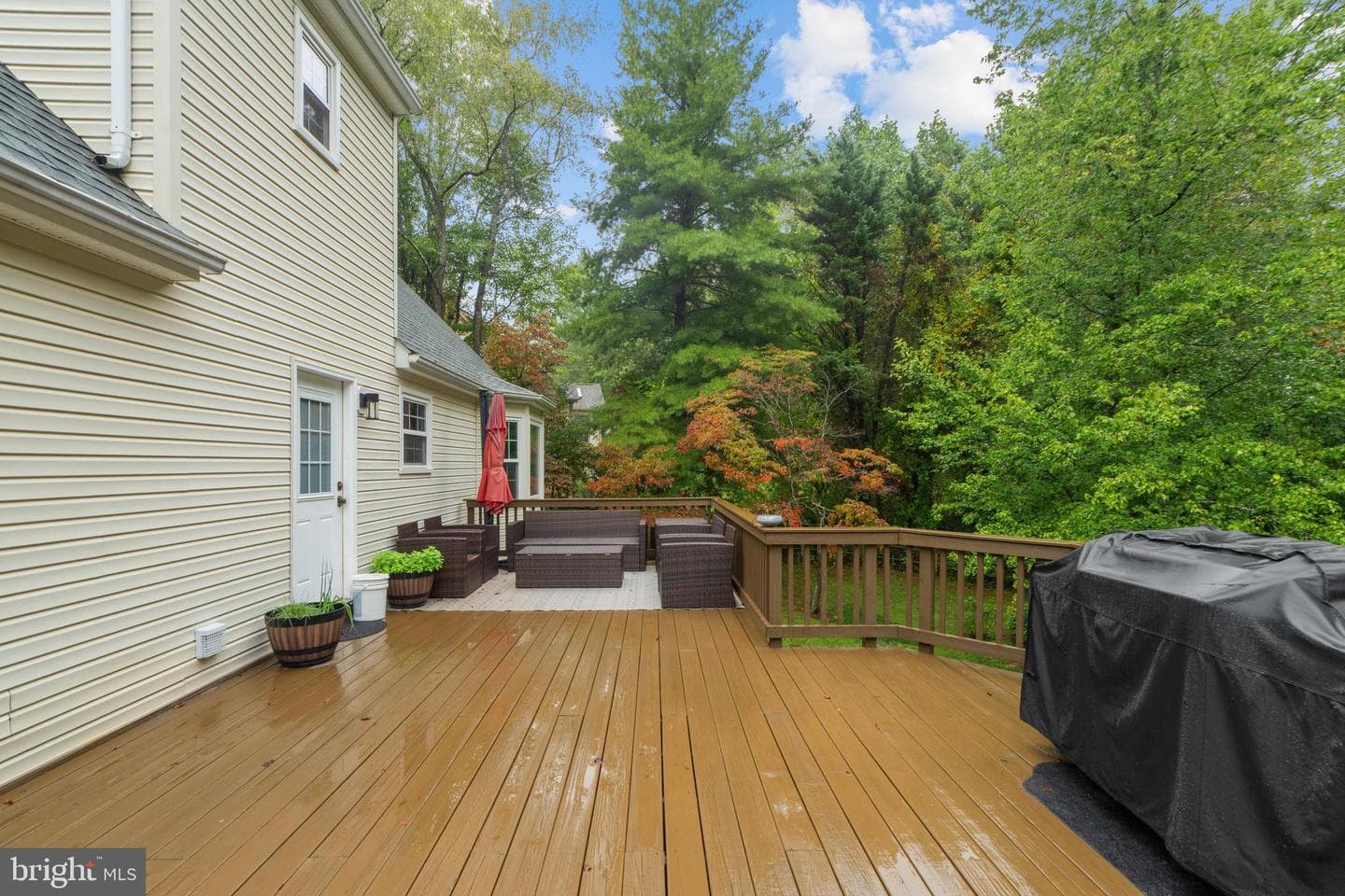 3193 Southampton Drive photo 52