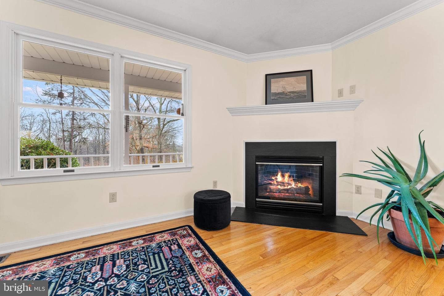 24060 Cedar Mountain Drive photo 11