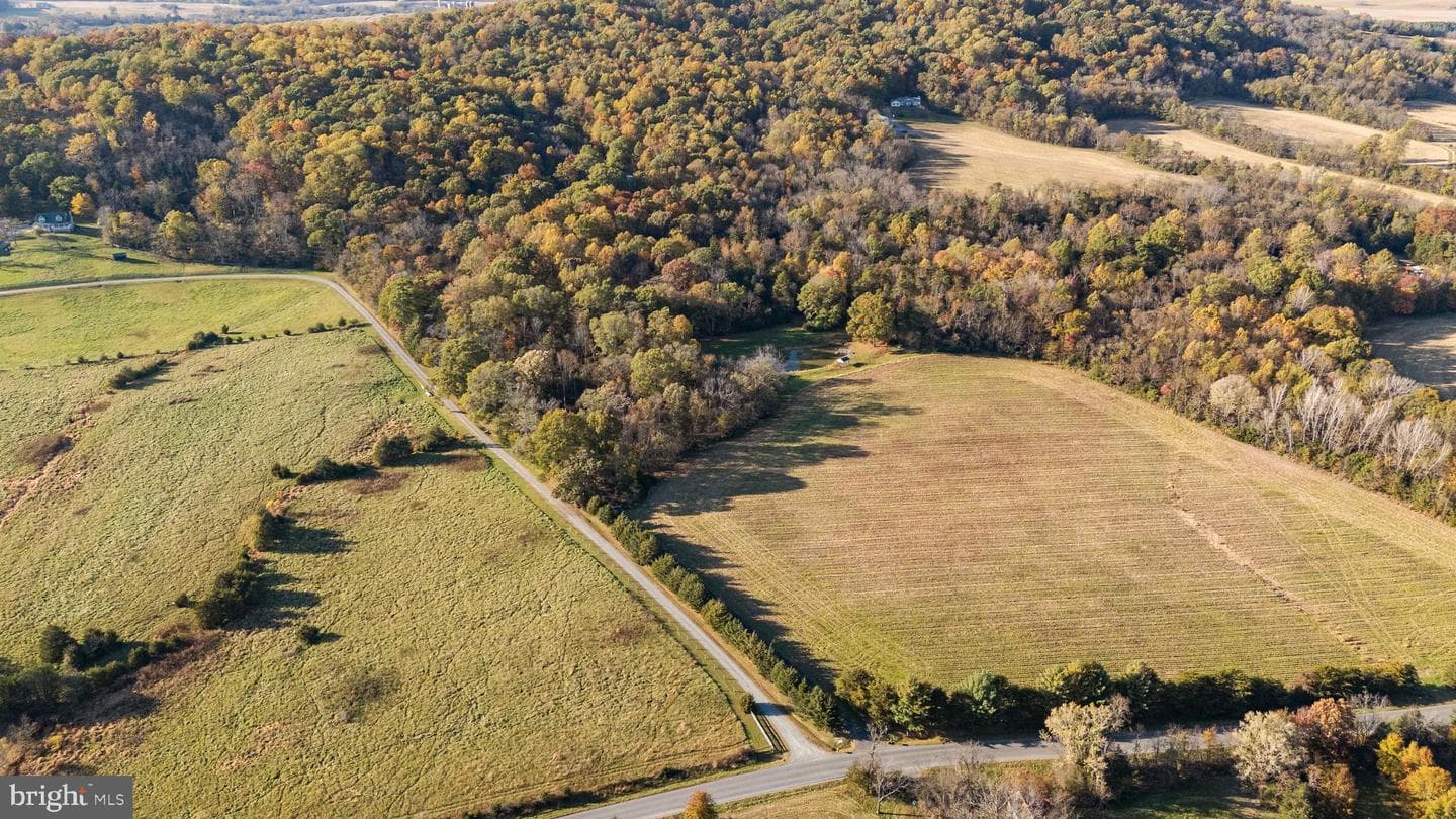 24060 Cedar Mountain Drive photo 39