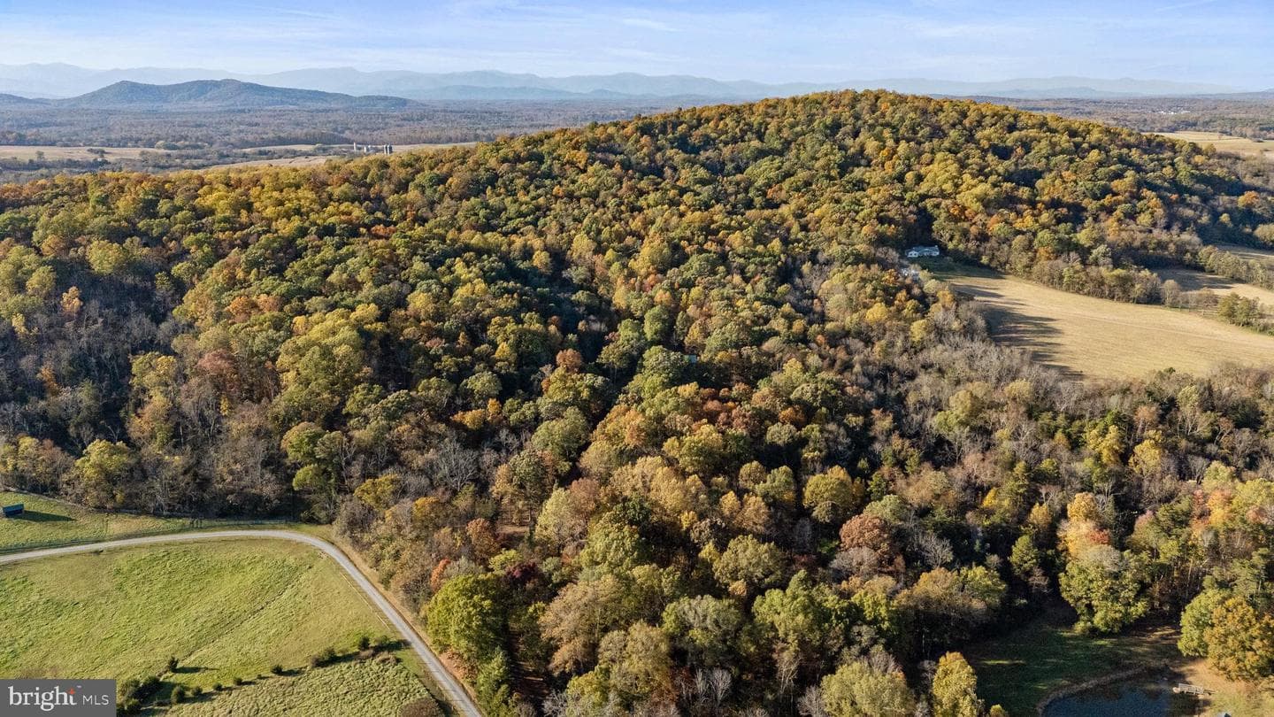 24060 Cedar Mountain Drive photo 42