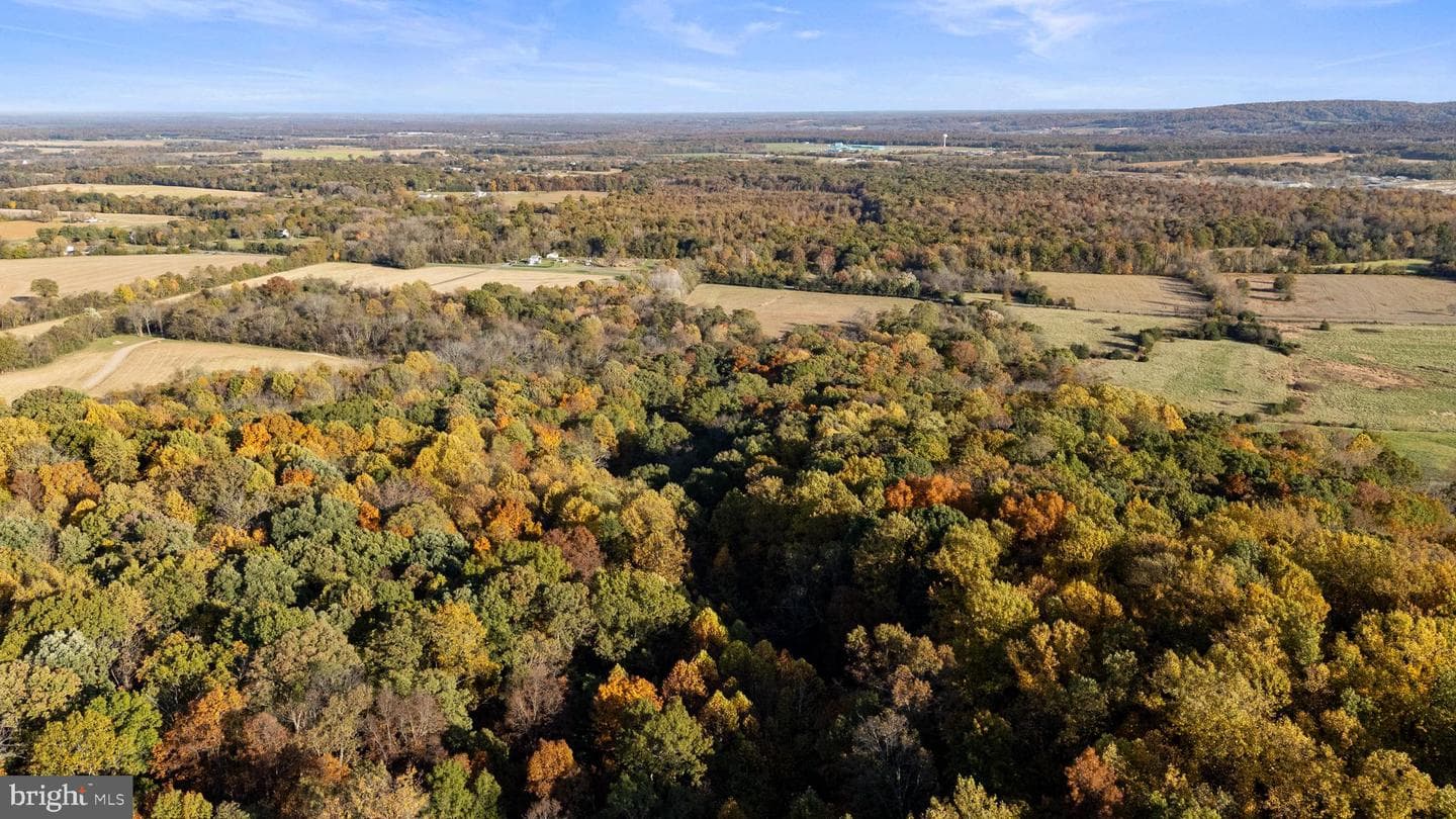 24060 Cedar Mountain Drive photo 43