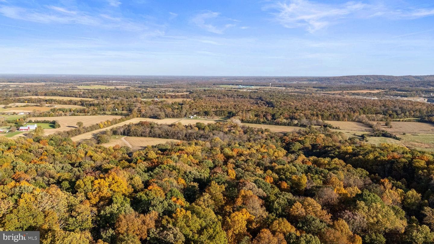 24060 Cedar Mountain Drive photo 44