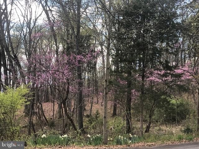 24060 Cedar Mountain Drive photo 51