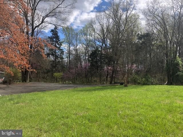 24060 Cedar Mountain Drive photo 52