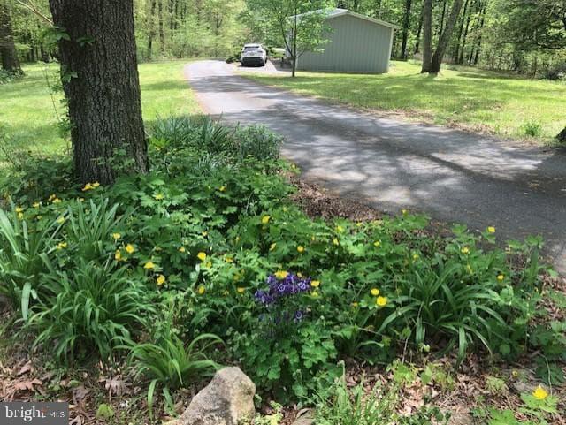24060 Cedar Mountain Drive photo 55