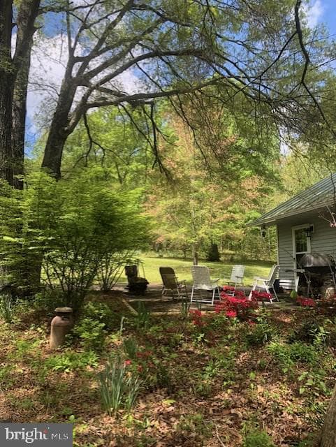24060 Cedar Mountain Drive photo 56