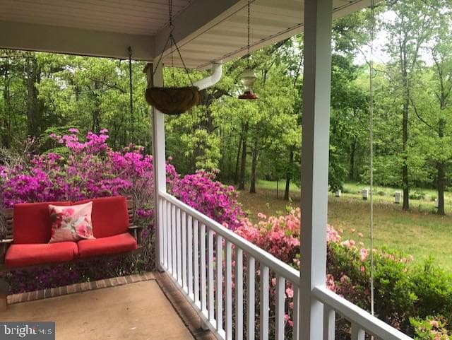 24060 Cedar Mountain Drive photo 58