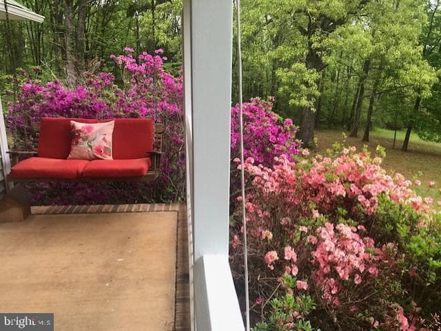 24060 Cedar Mountain Drive photo 59