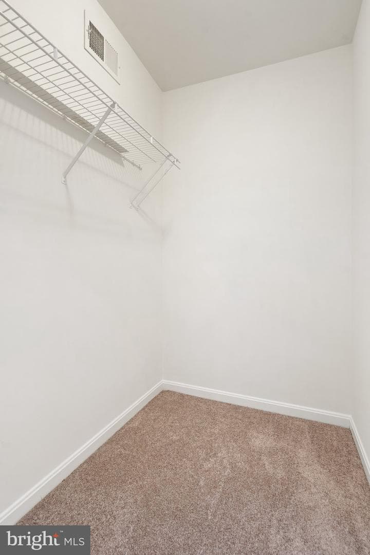 755 Holly Leaf Road photo 61